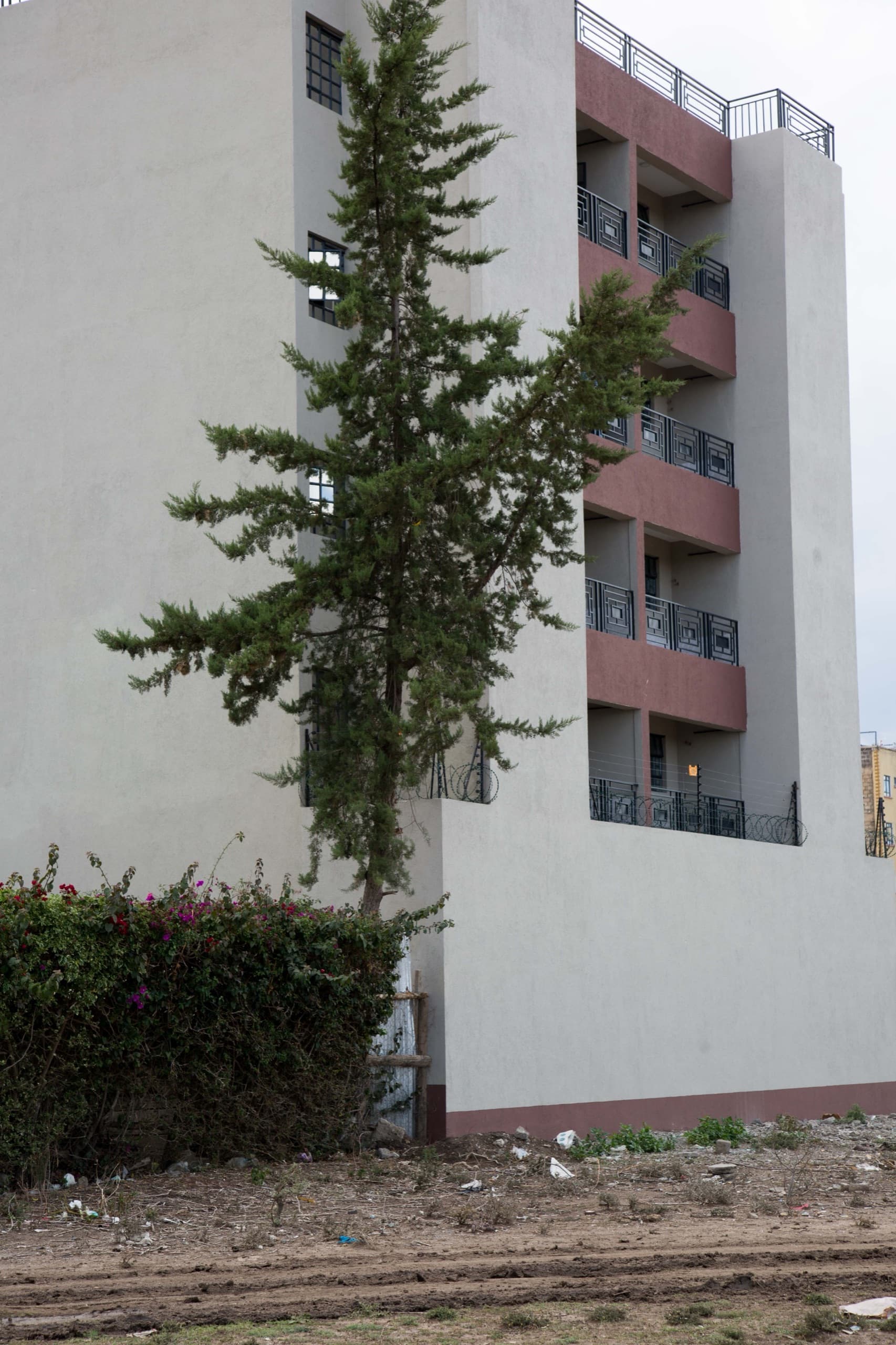 Milans by KCiti, side elevation