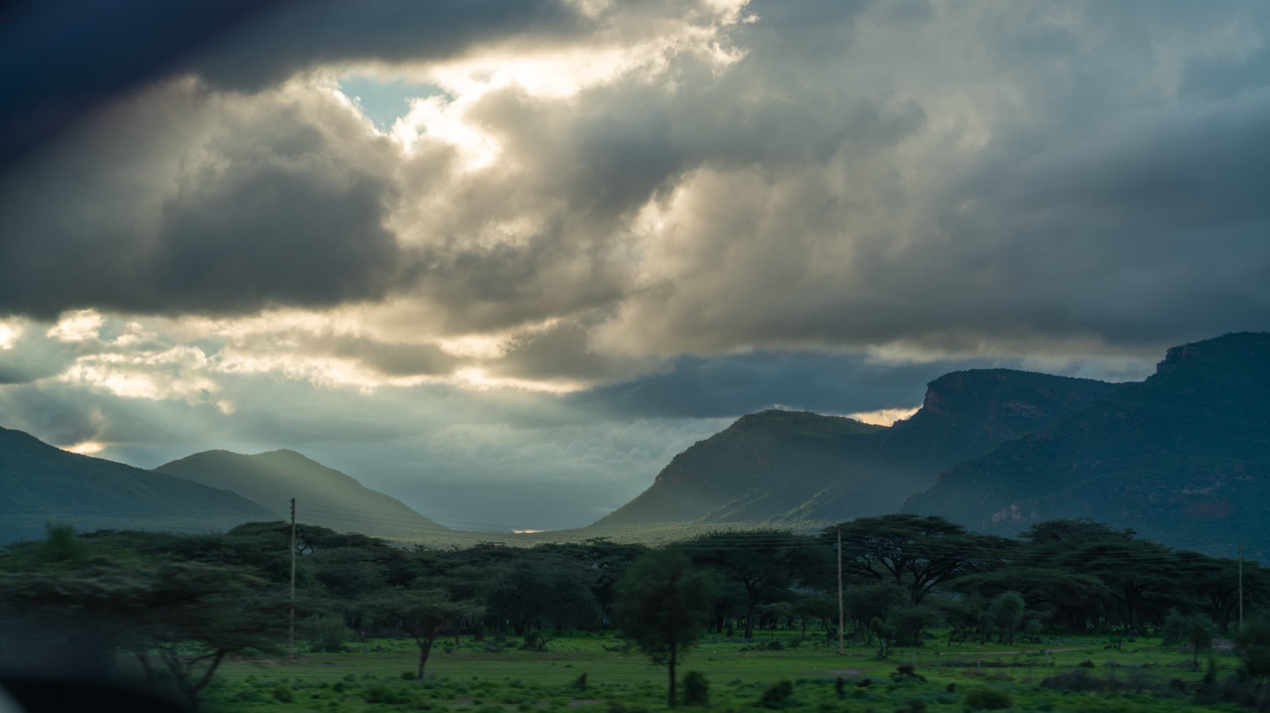 Acacia trees and mountains near Nanyuki